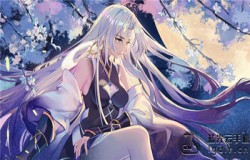 阴阳师2020必备SR式神 阴阳师2020萌新推荐式神 阴阳师2020必备SR式神 阴阳师2020萌新推荐式神